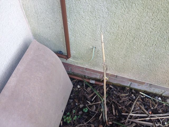 image2.jpeg