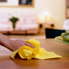 Domestic Cleaning Services