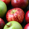 Vital Fruit