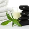 Holistic Therapists