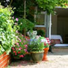 Water Gardening Services