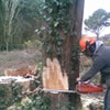 James The Green Man Ltd