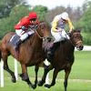 Racing Tipsters