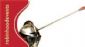 Stag and Hen Parties in CANTERBURY - Robin Hood Events Ltd Stag and Hen Parties in CANTERBURY - Robin Hood Events Ltd
