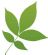 Garden Design in BATH - Eaglestone Landscape Design