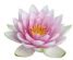 Holistic Therapy in SHEFFIELD - Eden Holistic Therapies Holistic Therapy in SHEFFIELD - Eden Holistic Therapies