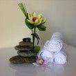 Hot Stone Massage performed with heated volcanic stones. - Complementary Therapists Harrogate