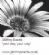Wedding Services and Planning in HORSHAM - JAMmy Events