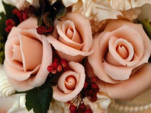 Pink flowers. - Wedding Planners Biggleswade