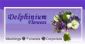 Wedding Favours in WELLS - Delphinium Flowers