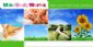 weight loss in WIGAN - Mind Body Works