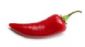 web designers in MIDDLESBROUGH - Red Chilli Marketing