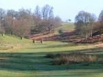 Knole Park - Sport Coaches Sevenoaks