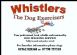 Dog Walkers in WINCHESTER - Whistlers the Dog Exercisers