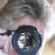 Human Resources in WARWICK - Warwickshire Investigation Agency Human Resources in WARWICK - Warwickshire Investigation Agency