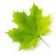 in SWINDON - Acer Paving & Landscaping in SWINDON - Acer Paving & Landscaping