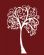 Shiatsu Massage in EXETER - Nicolas Florey