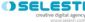 internet marketing in NORWICH - Selesti