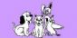 Pet Sitting in SLOUGH - Pets First
