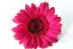 Wedding Stationery in BARNSLEY - Favours Stationery