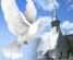 Funeral Services in RUGBY - Serviceunique