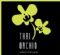 Activity Holidays in EDINBURGH - Thai Orchid