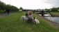 Pet Sitting in SWINDON - Happier Hounds