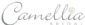wedding dresses in NORTHAMPTON - Camellia Bridal