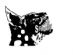 Site Security in HITCHIN - Serval Security Ltd