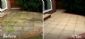 gardeners in YORK - York Pressure Cleaning