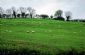 Farm Shop in PORT TALBOT - Cilygofid Farm