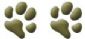 Pet Grooming in NORWICH - Elegant Paws Two Claws