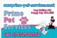 dog walkers in LONDON - Primo Pet Services dog walkers in LONDON - Primo Pet Services