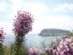massage therapists in CHELTENHAM - Kelly Jones