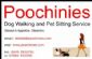 dog walkers in WARRINGTON - Poochinies
