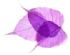 Relationship Counselling in BURNLEY - Solution Therapy