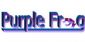 it consultancy in TELFORD - Purple Frog Systems Ltd