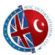 International Couriers in SLOUGH - NIC International Ltd International Couriers in SLOUGH - NIC International Ltd