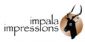 Personalised Gifts in WEST MALLING - Impala Impressions