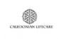 Healthcare Services in EDINBURGH - Caledonian LifeCare