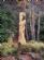  in CARRBRIDGE - Cairngorm Holiday Home