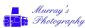 wedding photographers in BOGNOR REGIS - Murray's Photography
