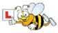 Driving Instructors in WORTHING - Bee Happy Driving Driving Instructors in WORTHING - Bee Happy Driving