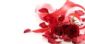 Wedding Accessories in ORPINGTON - Sarah May 