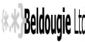 web designers in SWINDON - Beldougie Ltd