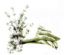 beauty salons in SWINDON - The Thyme Treatment Rooms beauty salons in SWINDON - The Thyme Treatment Rooms