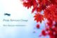 commercial cleaning in CROYDON - Pride Services Group