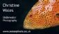 Nature Photography in WARLINGHAM - OceanPixels