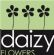 in HITCHIN - Daizy in HITCHIN - Daizy