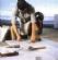 Building Contractors in WINDSOR - Tommy Construction and Property Maintenance